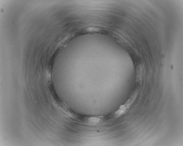 X0000070400176200607072253