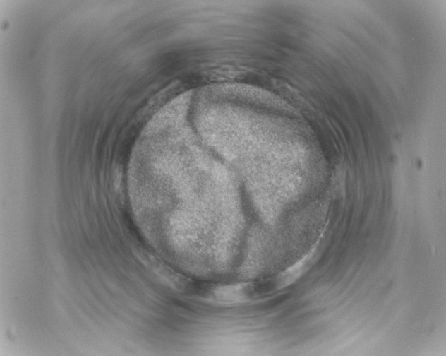 X0000070400178200607072253