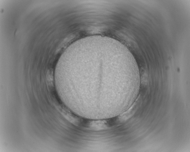 X0000070400179200607072253