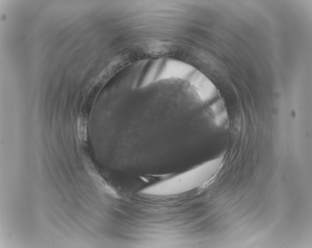 X0000070400180200607072253