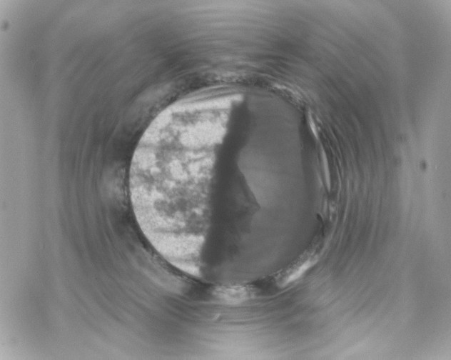 X0000070400181200607072253