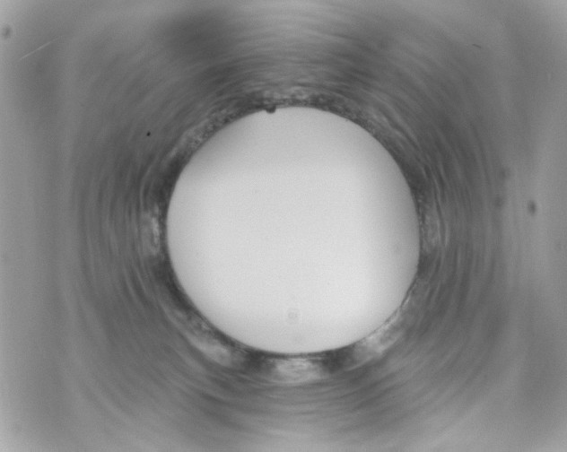 X0000070400183200607072253