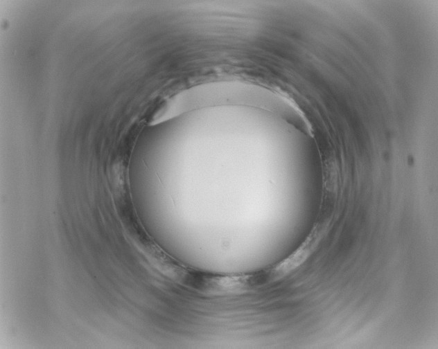 X0000070400184200607072253