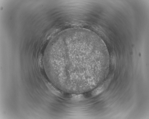 X0000070400185200607072253