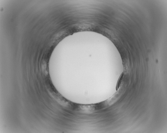 X0000070400187200607072253