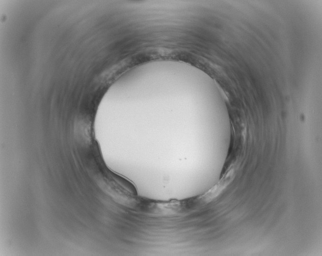 X0000070400188200607072253