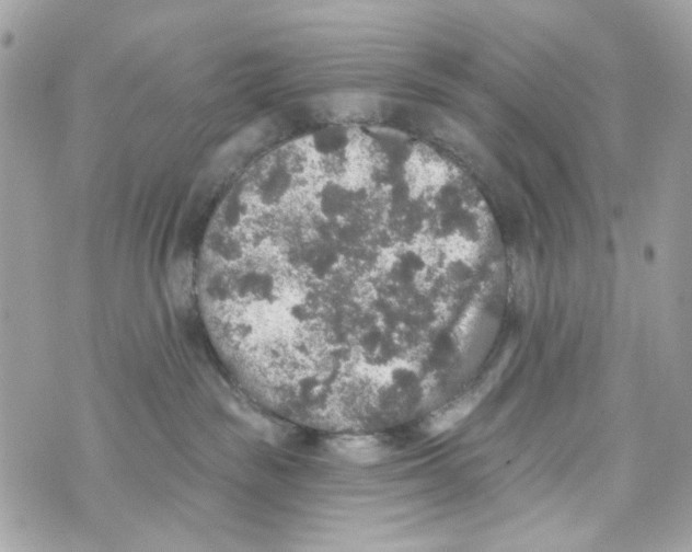 X0000070400189200607072253