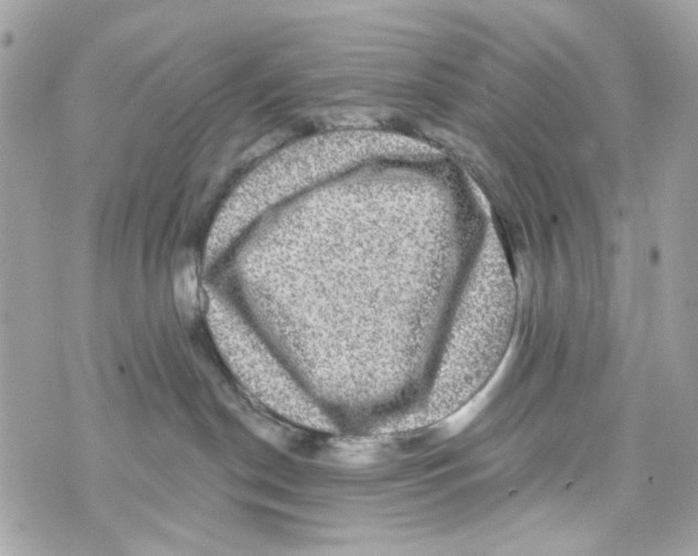 X0000070400190200607072253