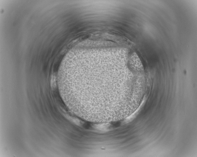 X0000070400191200607072253