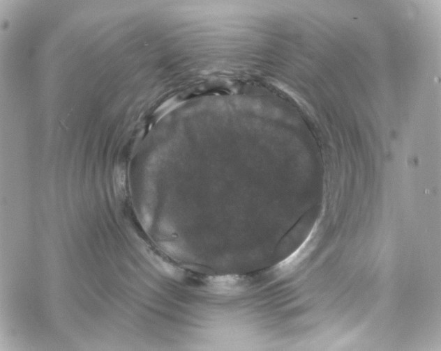 X0000070400192200607072253