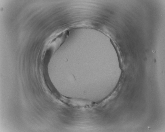 X0000070400193200607072252