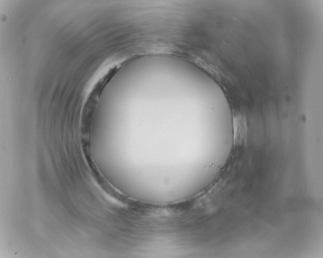 X0000070400195200607072252