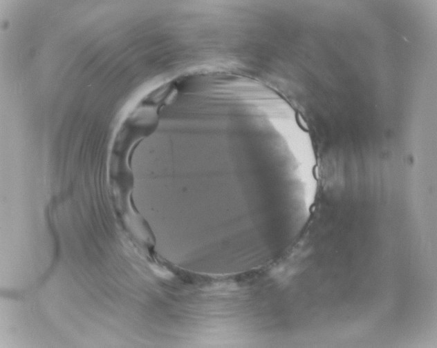 X0000070400196200607072252