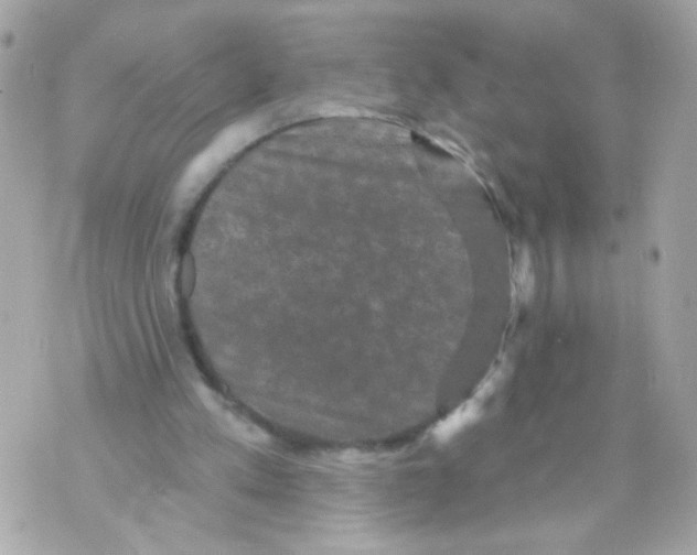 X0000070400197200607072252