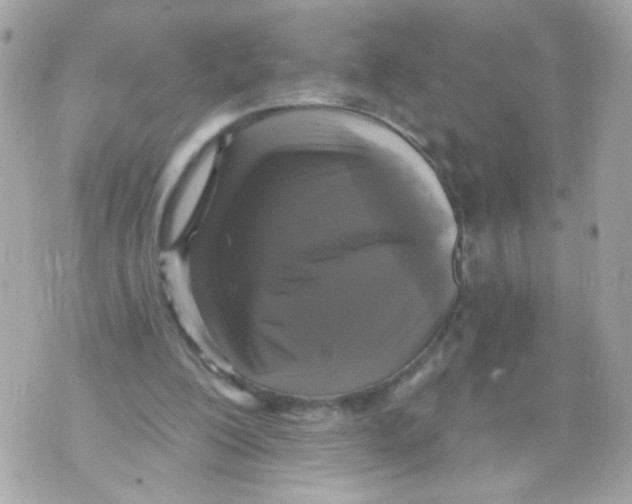 X0000070400200200607072252