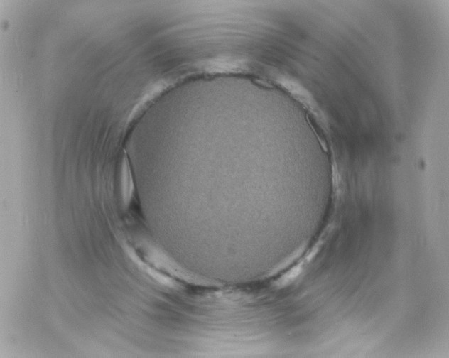 X0000070400201200607072252