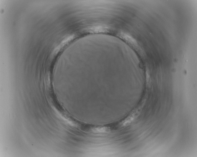 X0000070400202200607072252