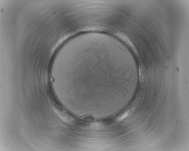 X0000070400204200607072252