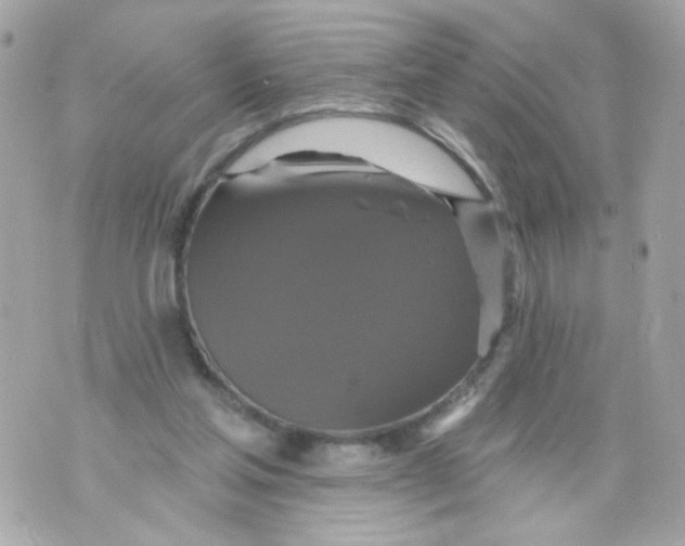 X0000070400205200607072252