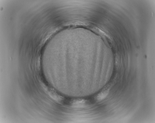 X0000070400206200607072252