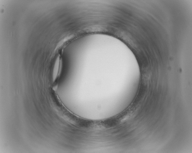 X0000070400207200607072252