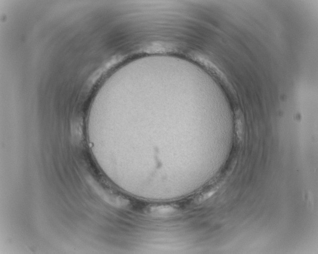 X0000070400208200607072252