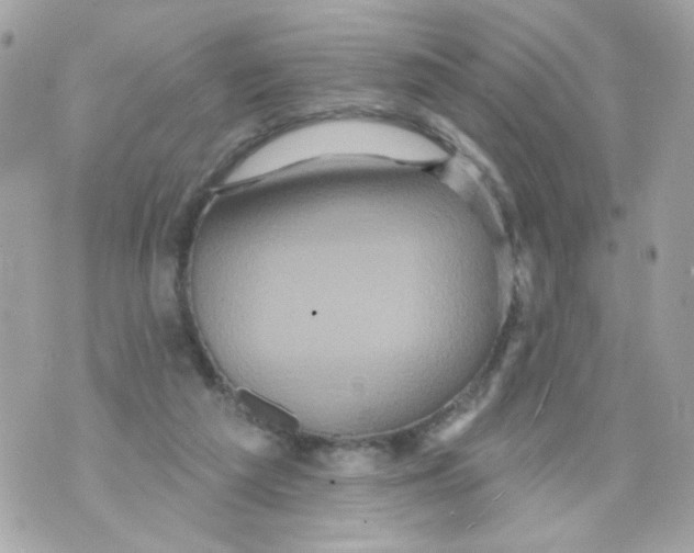 X0000070400209200607072252