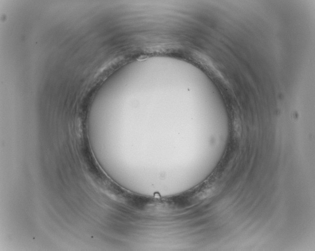 X0000070400211200607072252