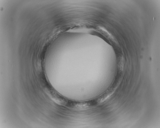 X0000070400213200607072252