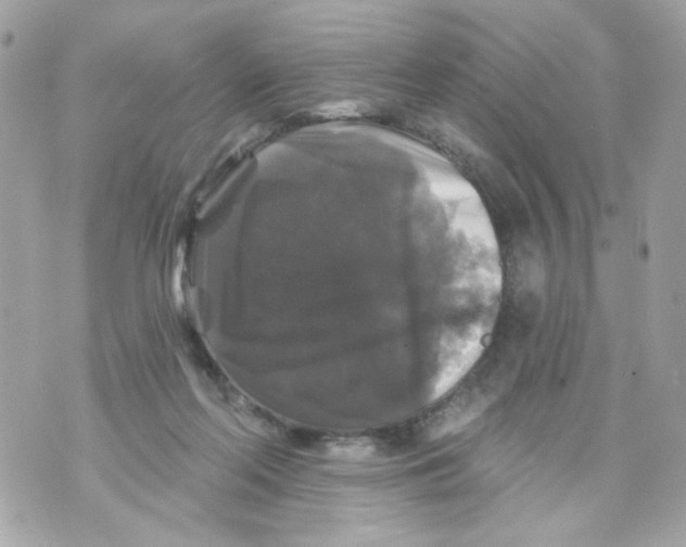 X0000070400214200607072252