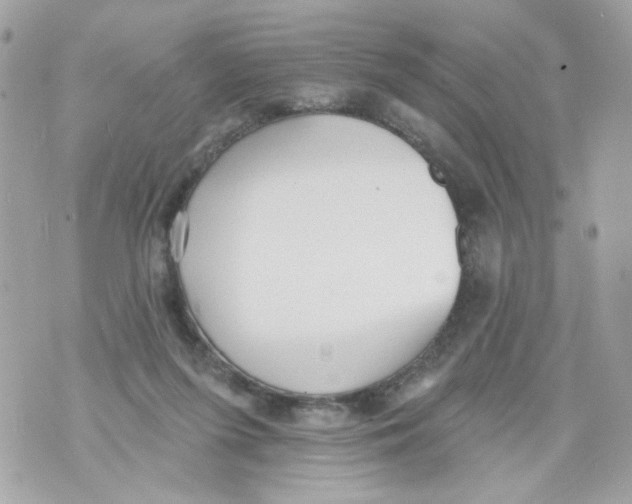 X0000070400215200607072252