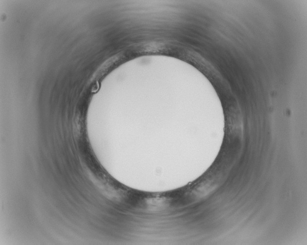 X0000070400216200607072252