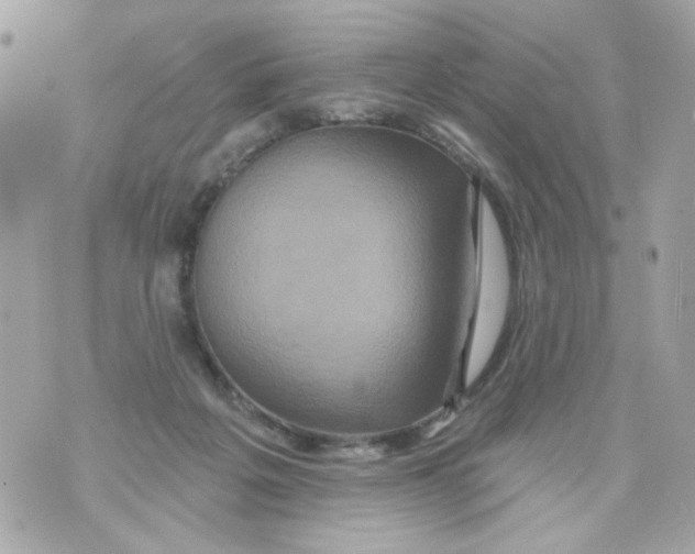 X0000070400217200607072252