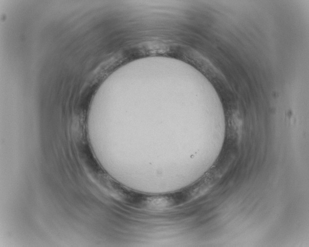 X0000070400218200607072252