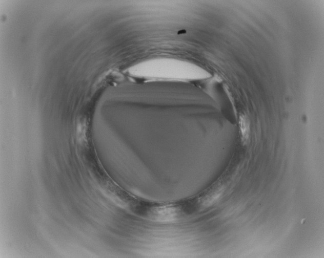 X0000070400219200607072252