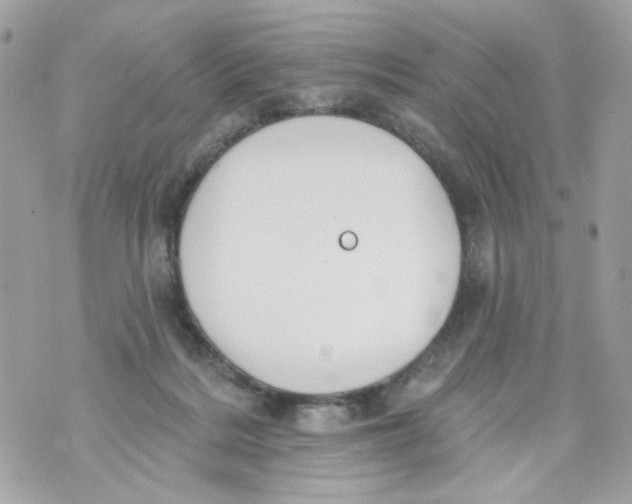 X0000070400220200607072252