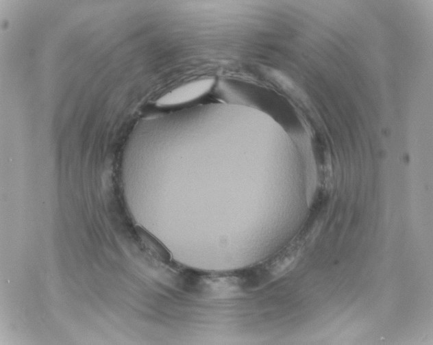 X0000070400221200607072252