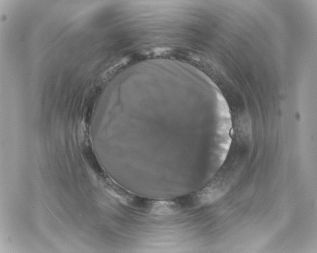 X0000070400222200607072252