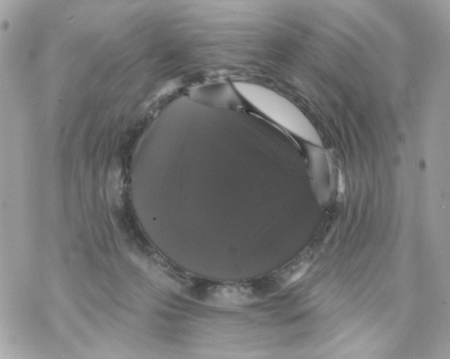 X0000070400223200607072252