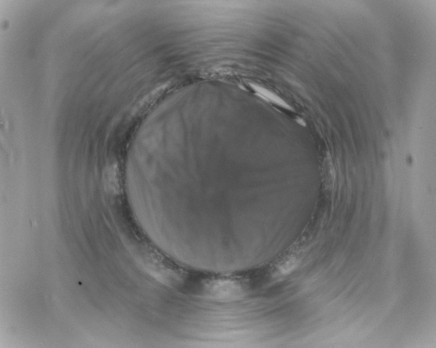 X0000070400224200607072252