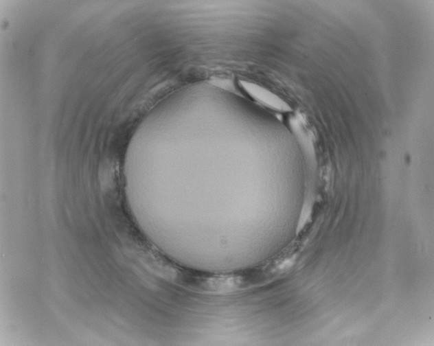 X0000070400225200607072252