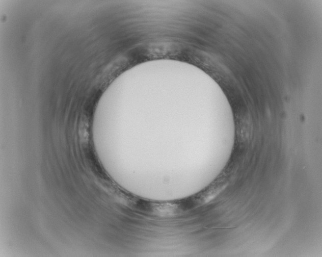 X0000070400226200607072252