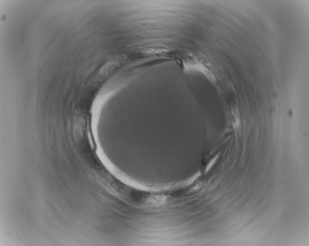 X0000070400227200607072252