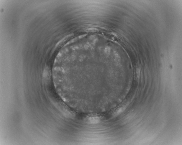 X0000070400228200607072252