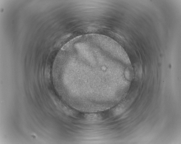 X0000070400230200607072252