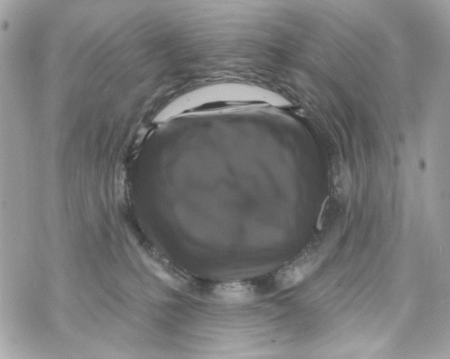 X0000070400231200607072252