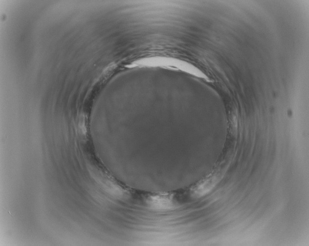 X0000070400232200607072252