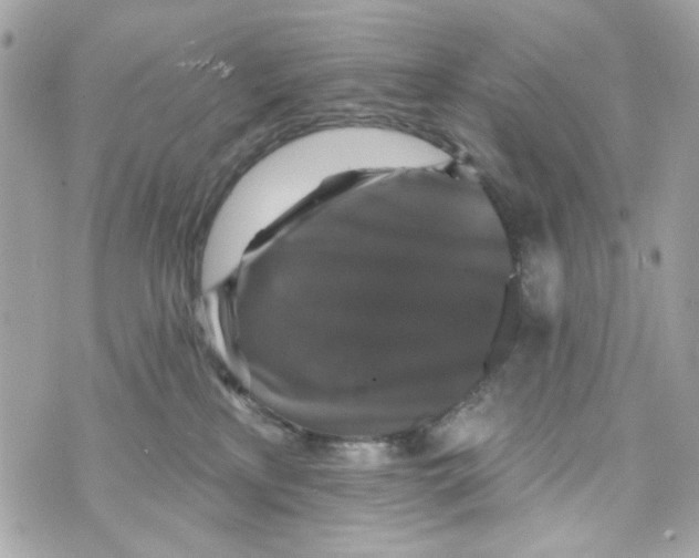 X0000070400233200607072252