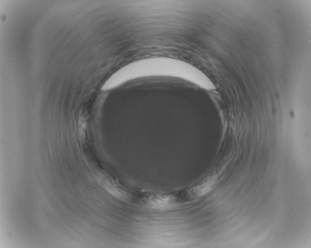 X0000070400235200607072252