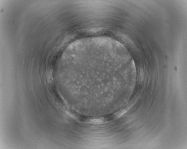 X0000070400236200607072252